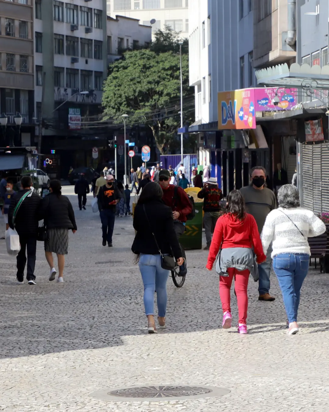 Curitiba terá céu claro e temperaturas amenas nesta segunda-feira (12), com possibilidade de chuviscos na terça