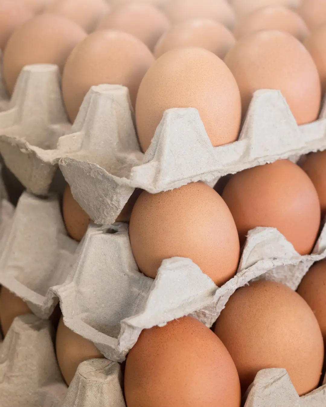 Embargos à exportação de frango e ovos brasileiros geram desafios para o setor avícola