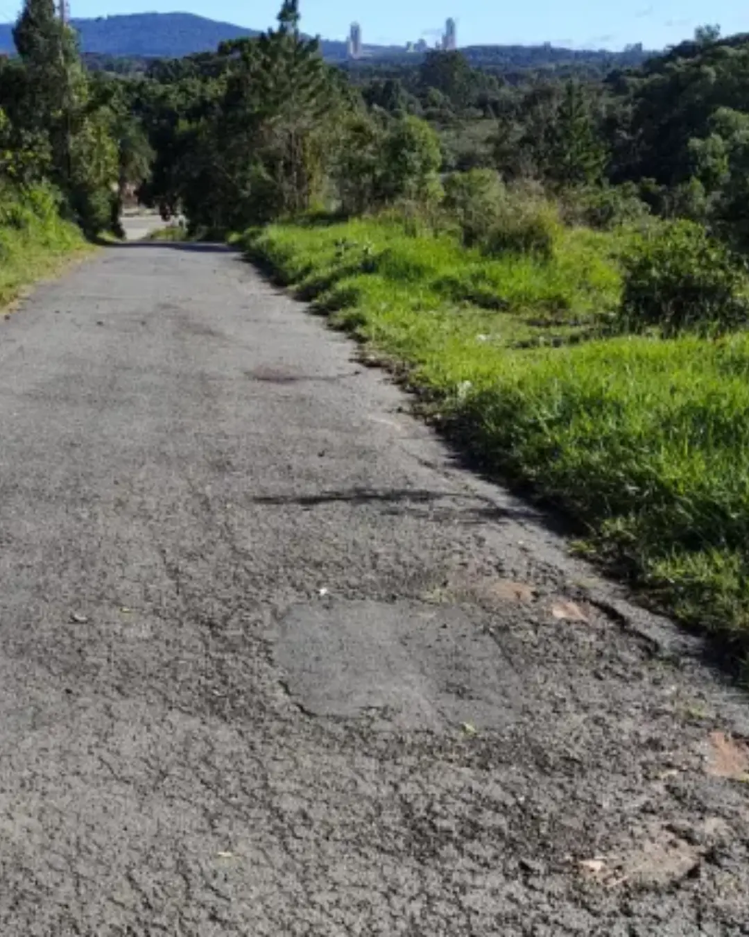 Homem atropela e mata esposa intencionalmente em Campo Largo; suspeito está foragido