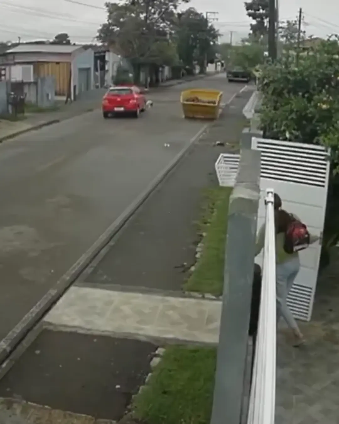 Mulher indiciada por atropelar e matar cachorro em Piraquara, Paraná