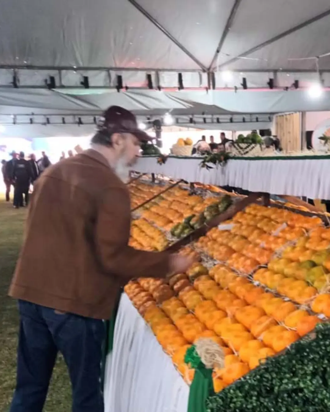 Cerro Azul recebe a 57ª Festa Nacional da Ponkan com atrações culturais e gastronômicas gratuitas