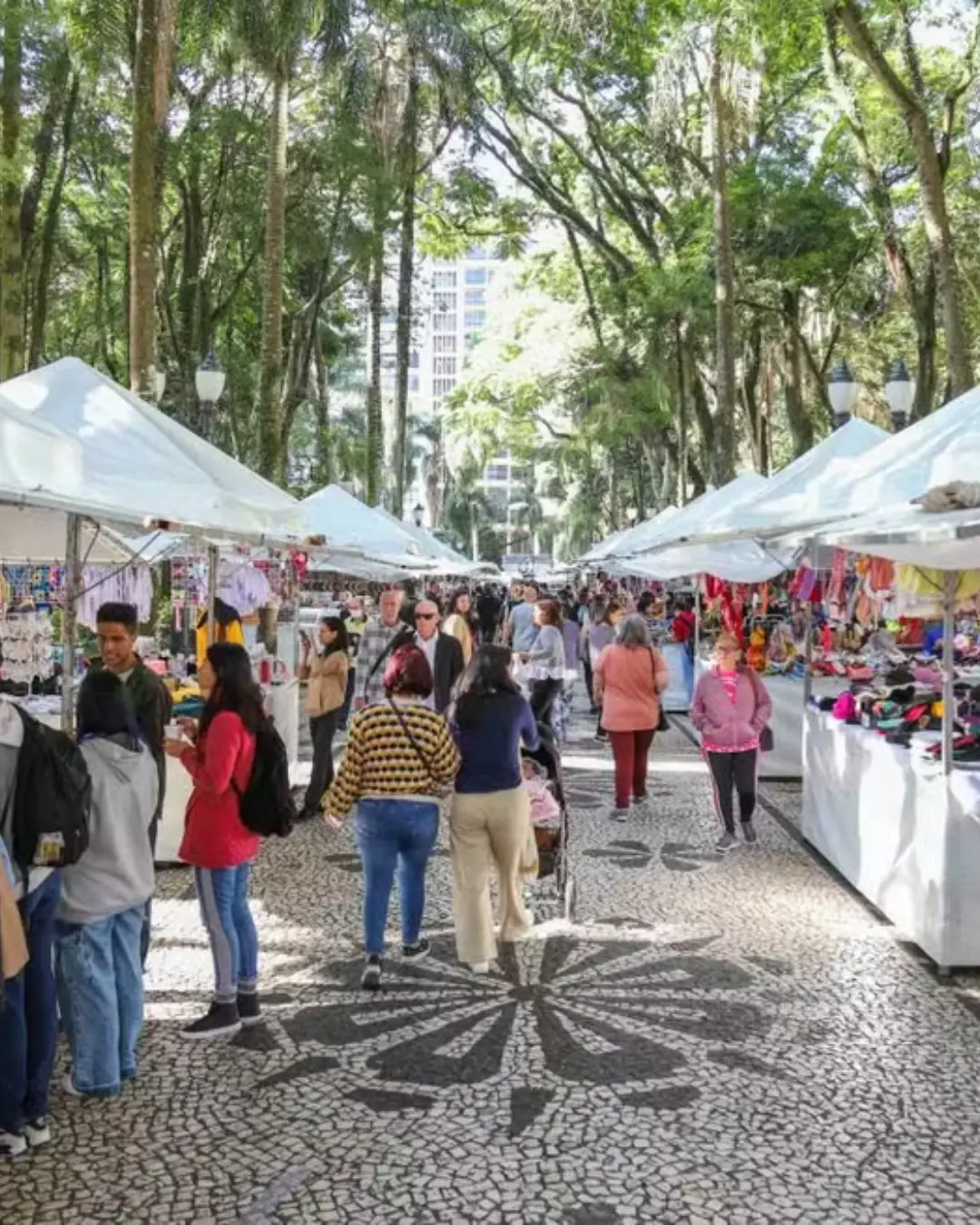 Feiras De Inverno De Curitiba Começam Nesta Quinta-Feira (12) Nas Praças Osório E Santos Andrade Feiras De Inverno De Curitiba Começam Nesta Quinta-Feira (12) Nas Praças Osório E Santos Andrade