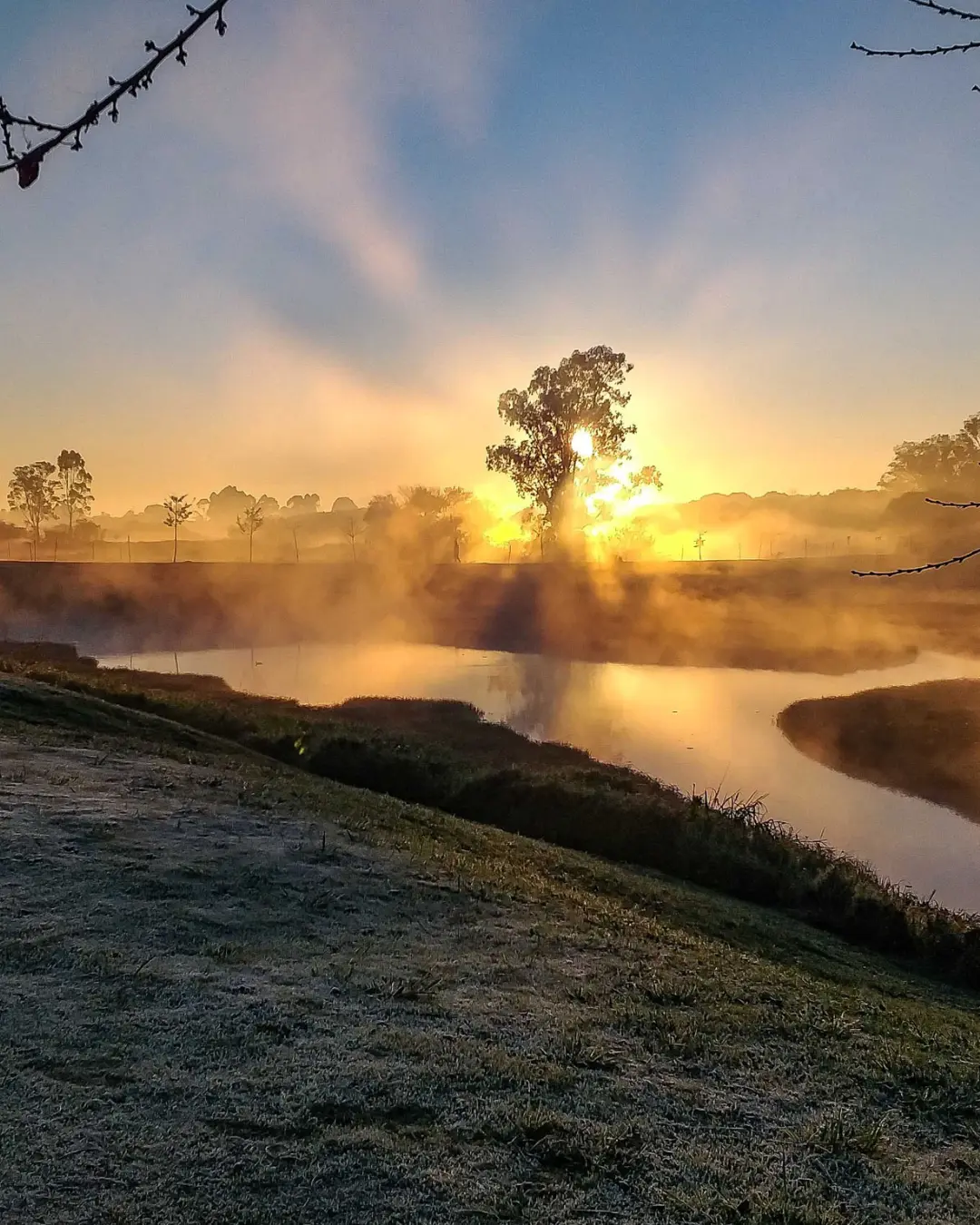 Frio Intenso E Geadas Atingem Cidades Do Paraná; Fim De Semana Terá Chuva E Temperaturas Mais Altas Frio Intenso E Geadas Atingem Cidades Do Paraná; Fim De Semana Terá Chuva E Temperaturas Mais Altas