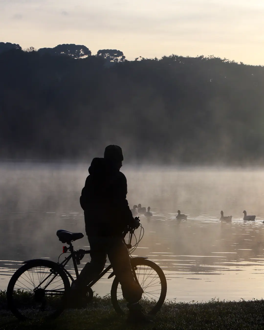 Junho promete temperaturas mais baixas e aumento de chuvas em Curitiba e Paraná