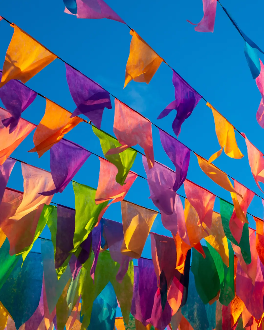 Santa Mônica Clube de Campo realiza dois dias de festa junina com o tradicional Arraiá do Santa