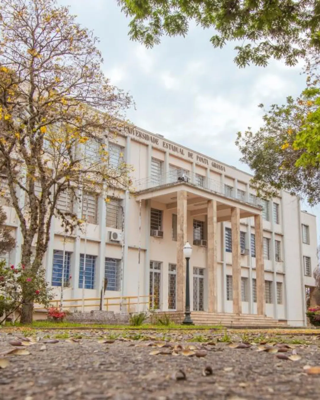 UEPG abre inscrições para vestibular EaD com 100 vagas em Produção Cultural; confira detalhes