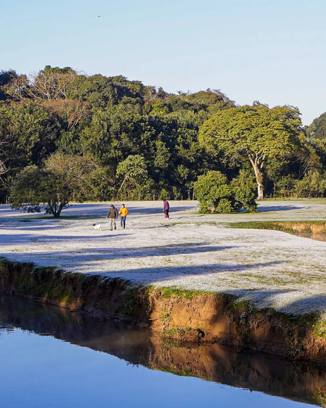 Frio e geada marcam o amanhecer em Curitiba pela segunda vez na semana