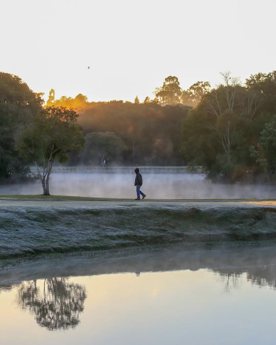 Paraná enfrenta inverno mais rigoroso com temperaturas abaixo da média histórica