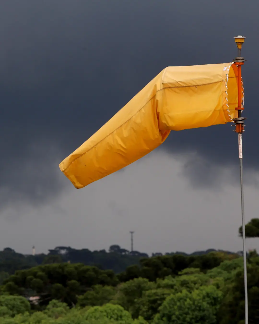 Alerta de vendaval pode atingir mais de 340 cidades no Paraná com ventos de até 60 km/h