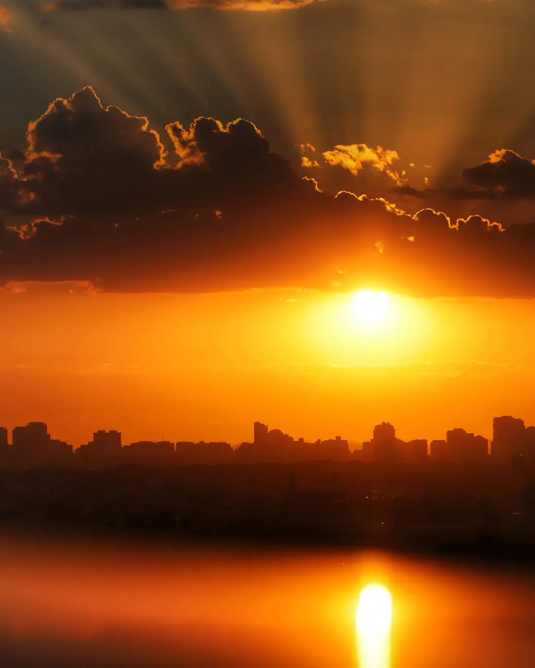 Curitiba enfrentará calor de até 34°C em agosto após geadas no Paraná, diz Simepar