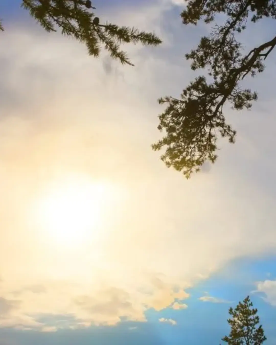 Curitiba terá quinta-feira ensolarada, com temperaturas de até 25°C