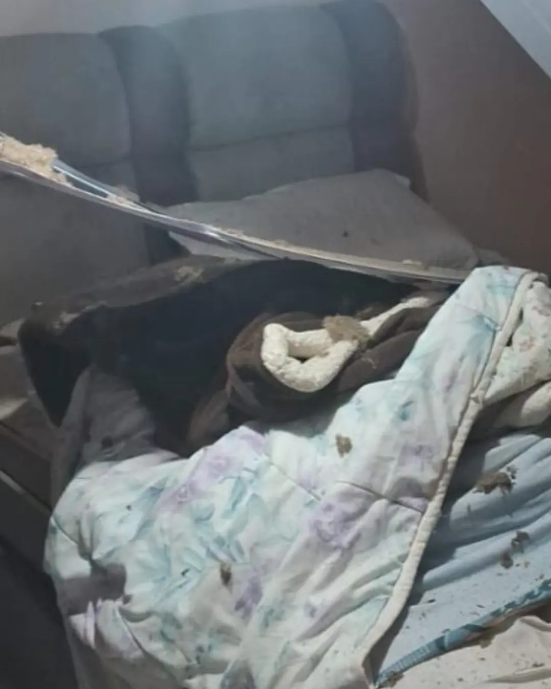 Defesas Civis de Quatro Barras e Campina auxiliam moradores com casas danificadas após explosão da Enaex Brasil