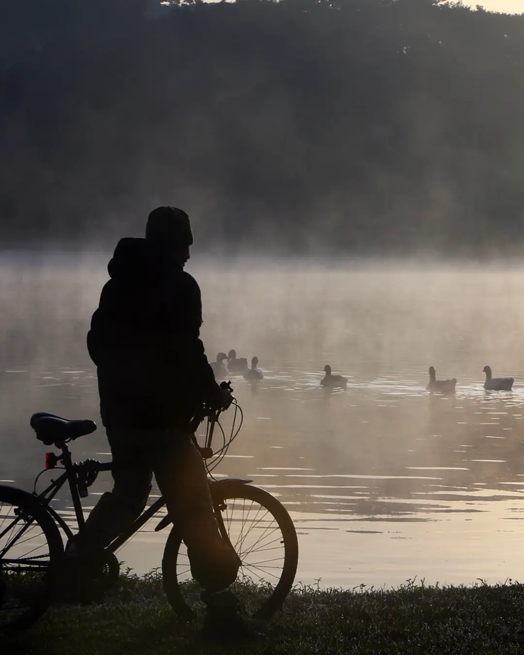 Massa de ar polar traz temperaturas negativas e geadas ao Paraná neste fim de semana