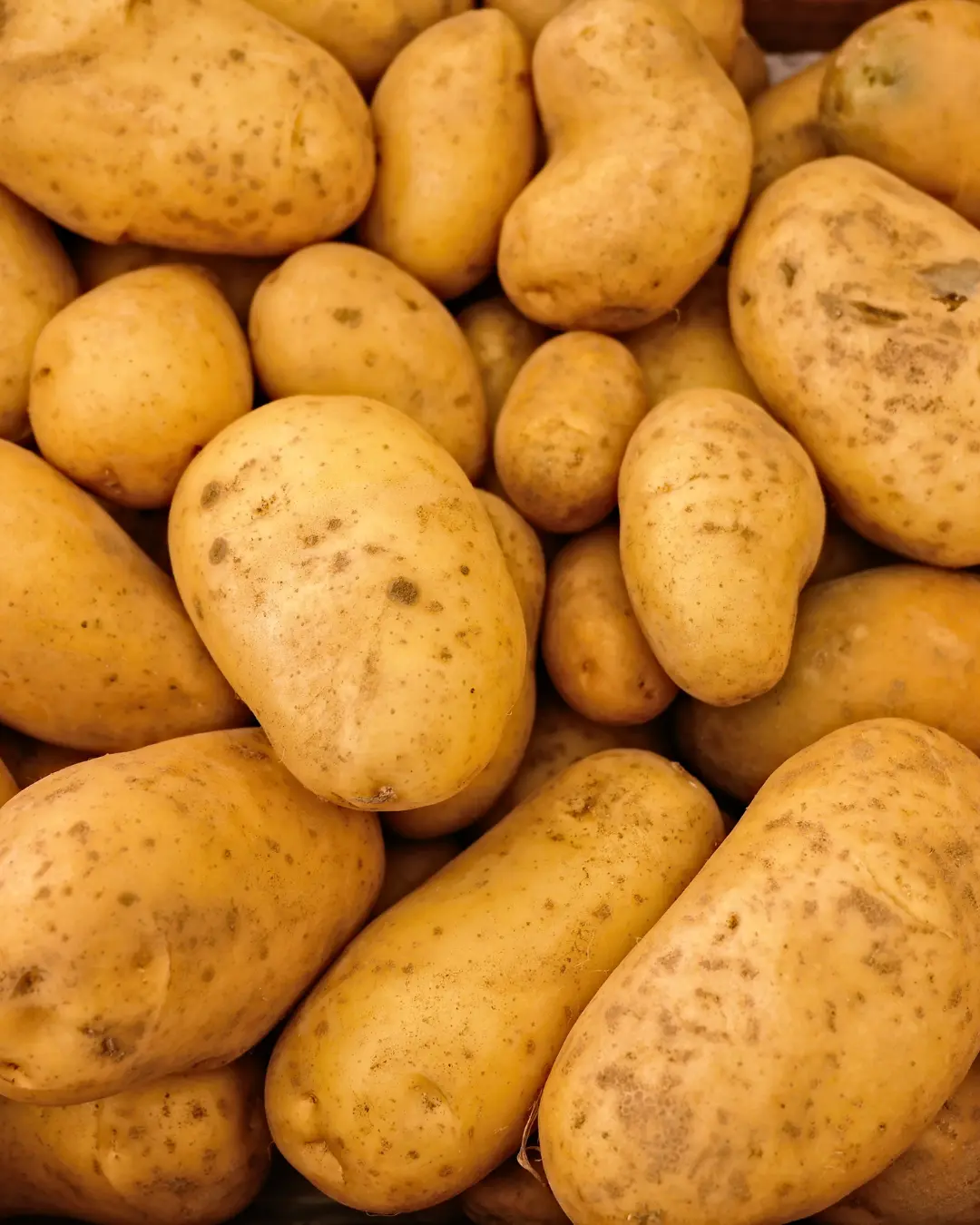 Preços da batata e da cebola caem em julho, aponta Conab