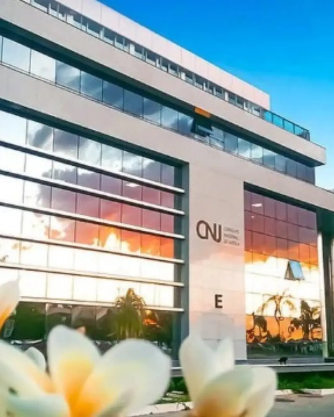 Publicidade legal: vitória da transparência e do bom senso no CNJ