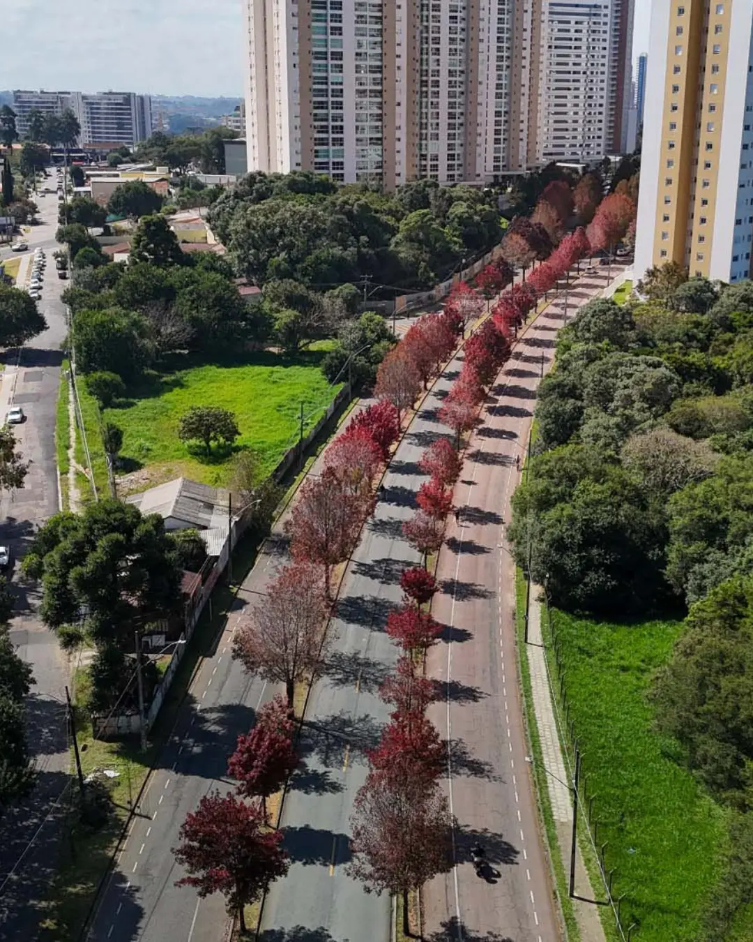 Sol predomina no Paraná, com temperaturas próximas de 30ºC em algumas cidades nesta quinta-feira (14)
