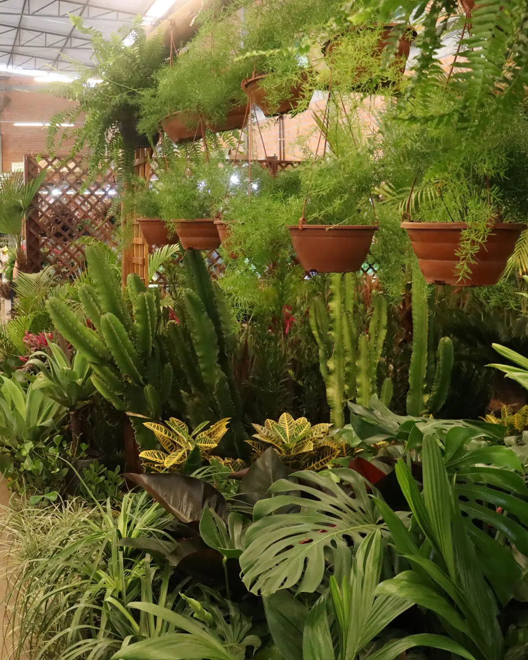 Ceasa Curitiba terá apenas Mercado de Flores funcionando no sábado, 6 de setembro