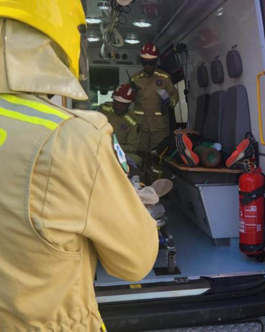 Corpo de Bombeiros do Paraná registra cerca de 300 ataques de cães em 2025; cuidado é fundamental