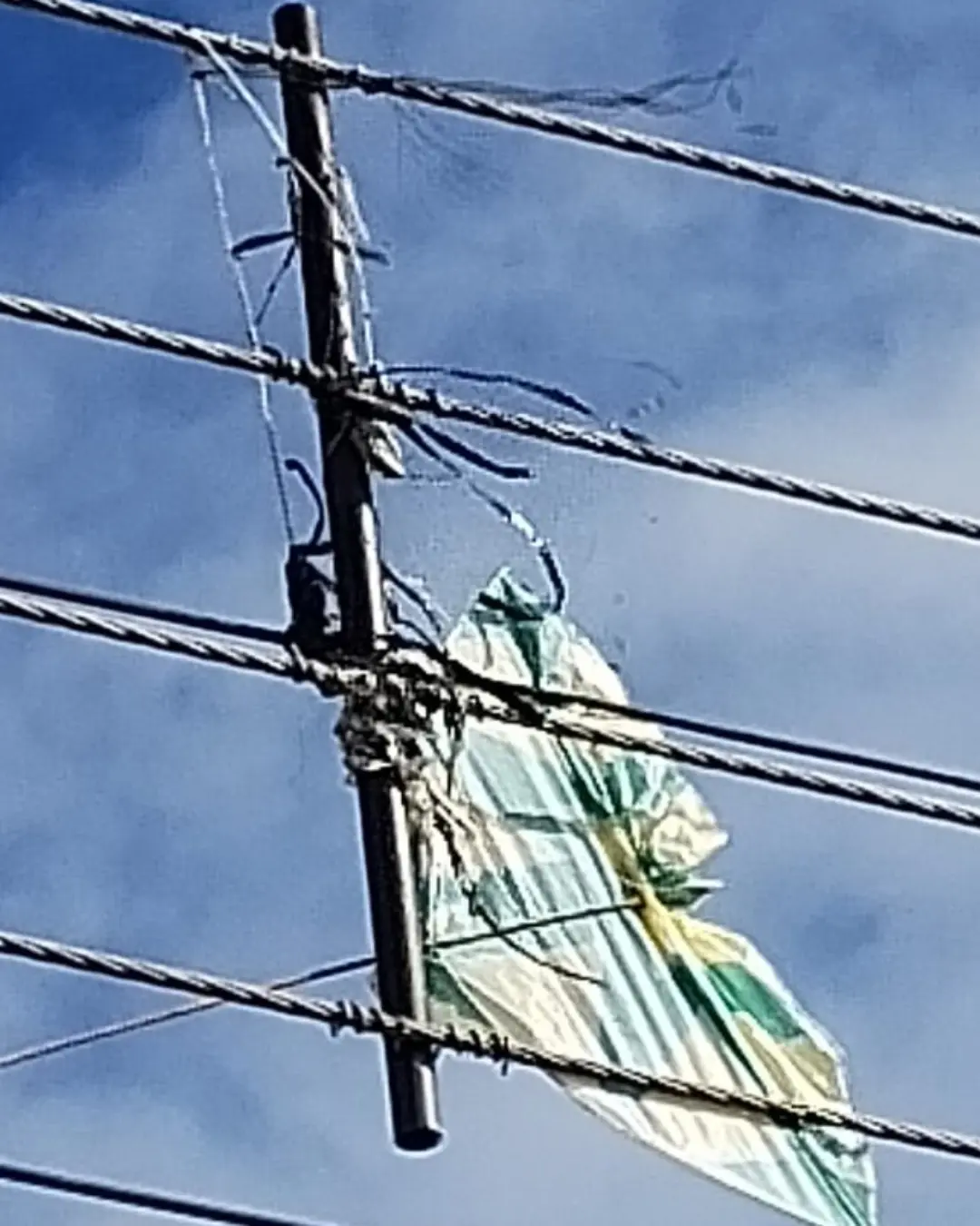 Uso de cerol em linhas de pipa provoca cortes de energia e gera riscos de vida em Curitiba