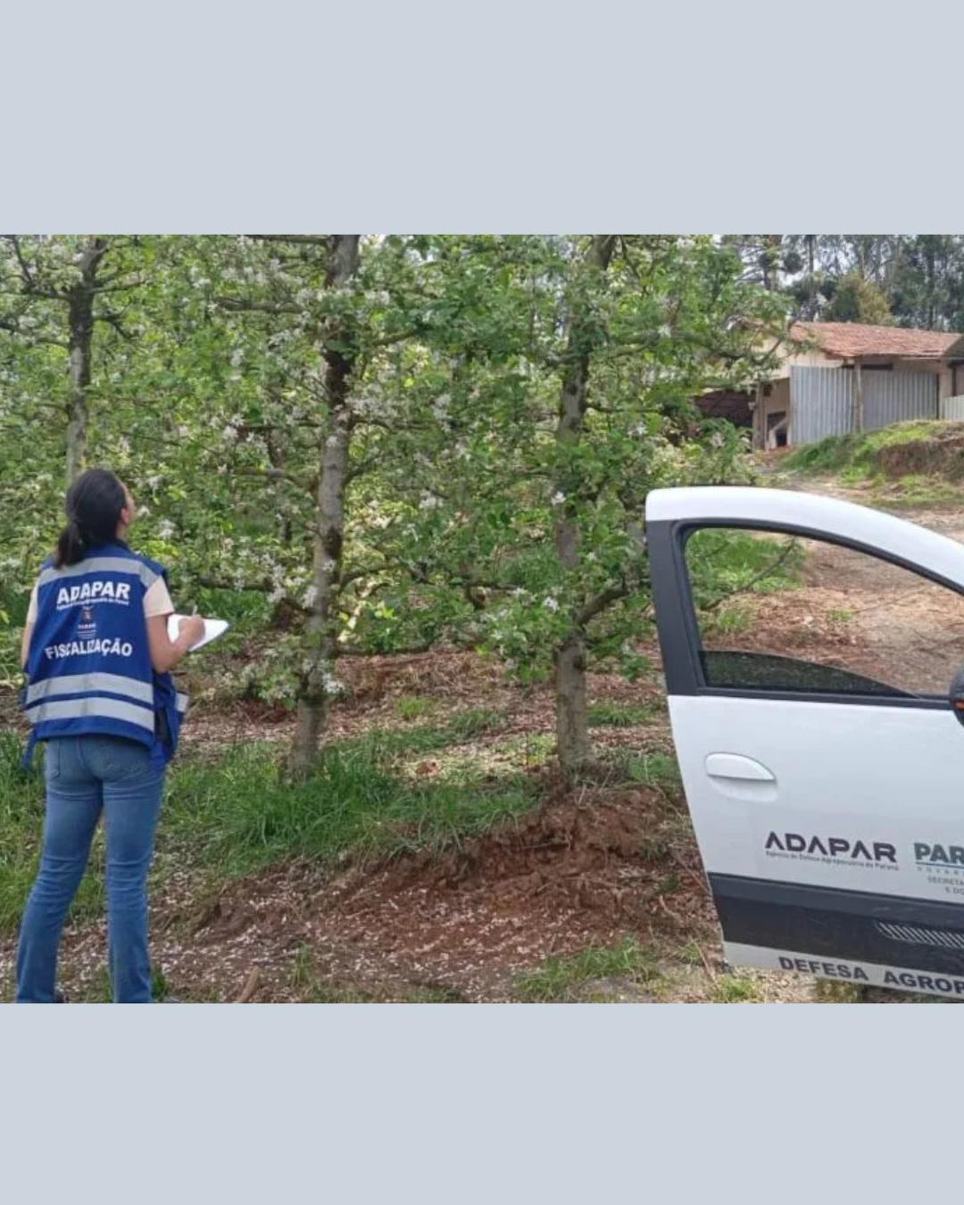 Concurso da Adapar oferece 57 vagas com salários de até R$ 8,5 mil; inscrições encerram em 29 de outubro