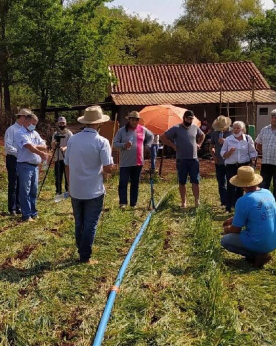 IDR Paraná abre inscrições gratuitas para 173 vagas em Processo Seletivo Simplificado