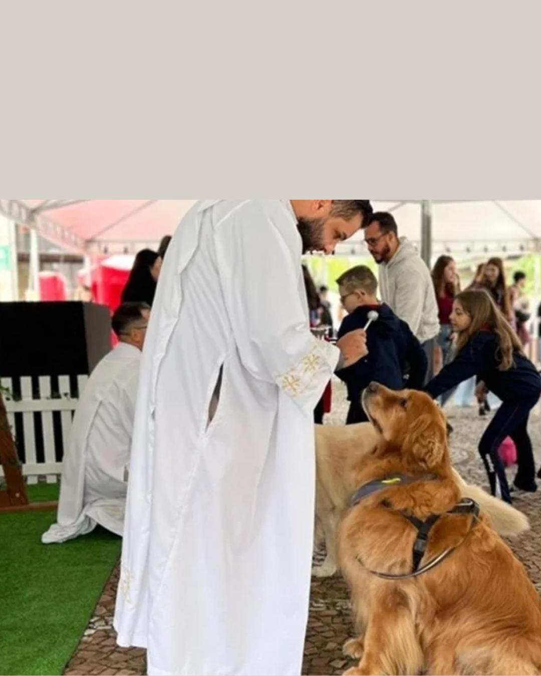 Igrejas de Curitiba realizam bênção dos animais para o Dia de São Francisco de Assis