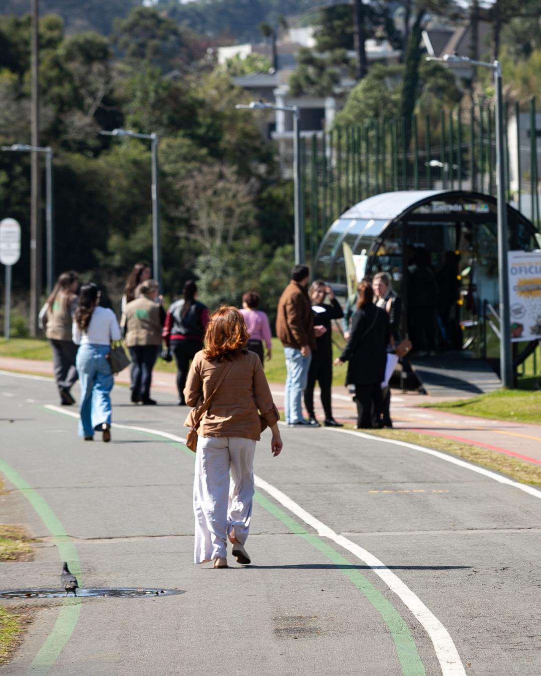 Massa de ar frio provoca recordes de temperatura e rajadas de vento no Paraná