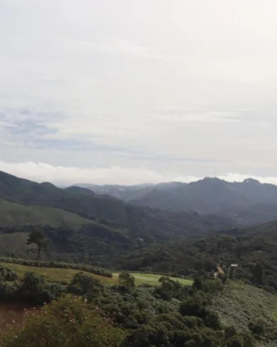 Paraná conclui transferência do Morro da Palha para Campo Magro, que terá novo parque municipal