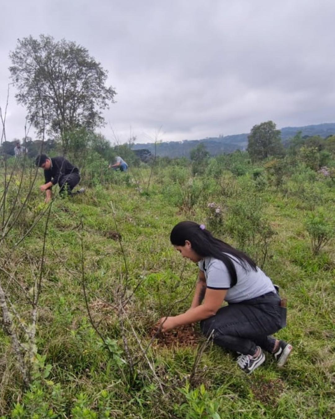 T-Minas dá início ao plantio de 2.540 mudas nativas em Campina Grande do Sul e Quatro Barras