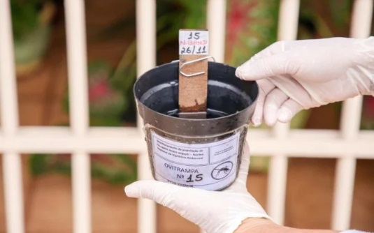 Mutirão de combate à Dengue percorre bairros de Campina Grande do Sul