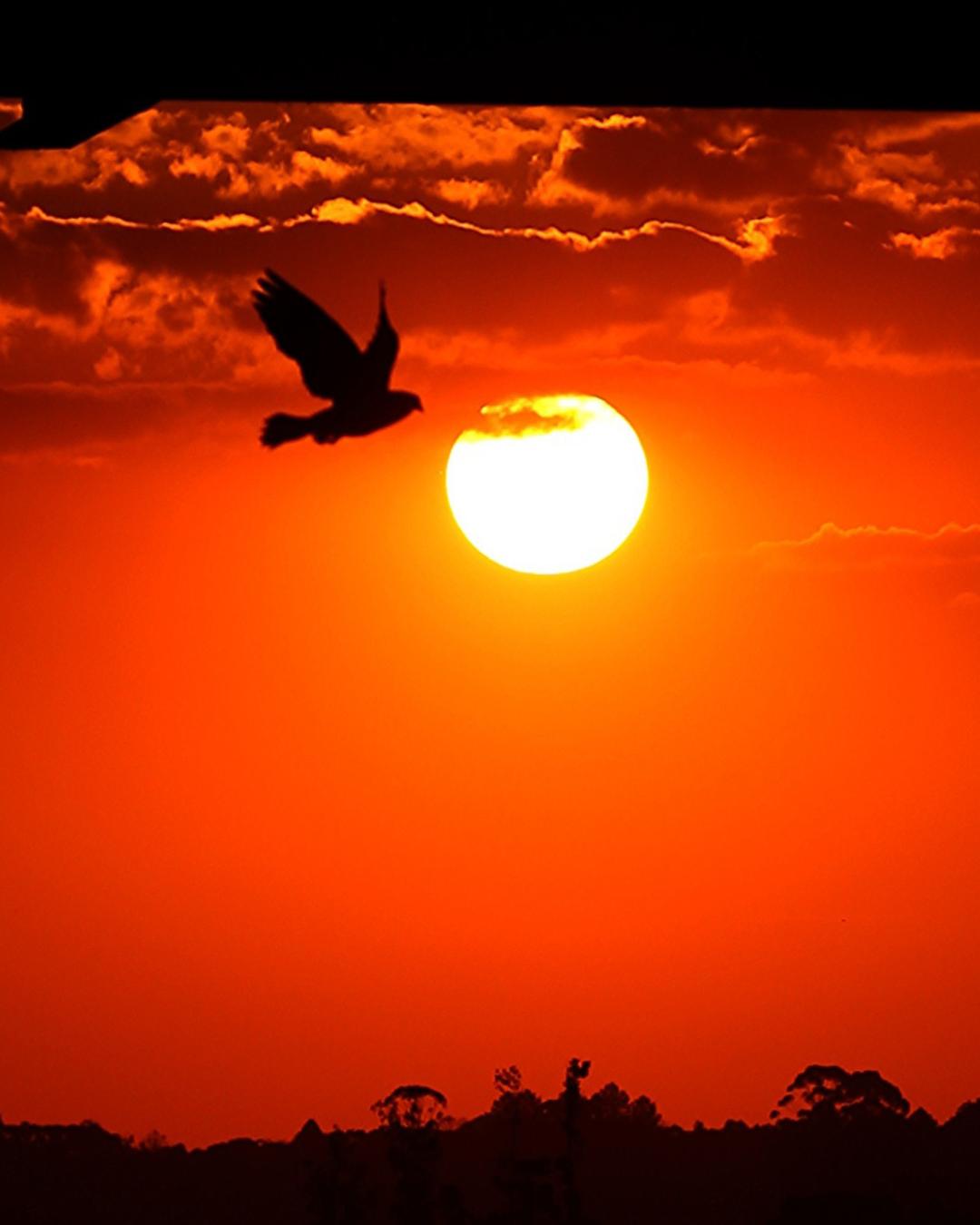 Altas temperaturas ligadas às mudanças climáticas causaram mais de 16 mil mortes na Europa