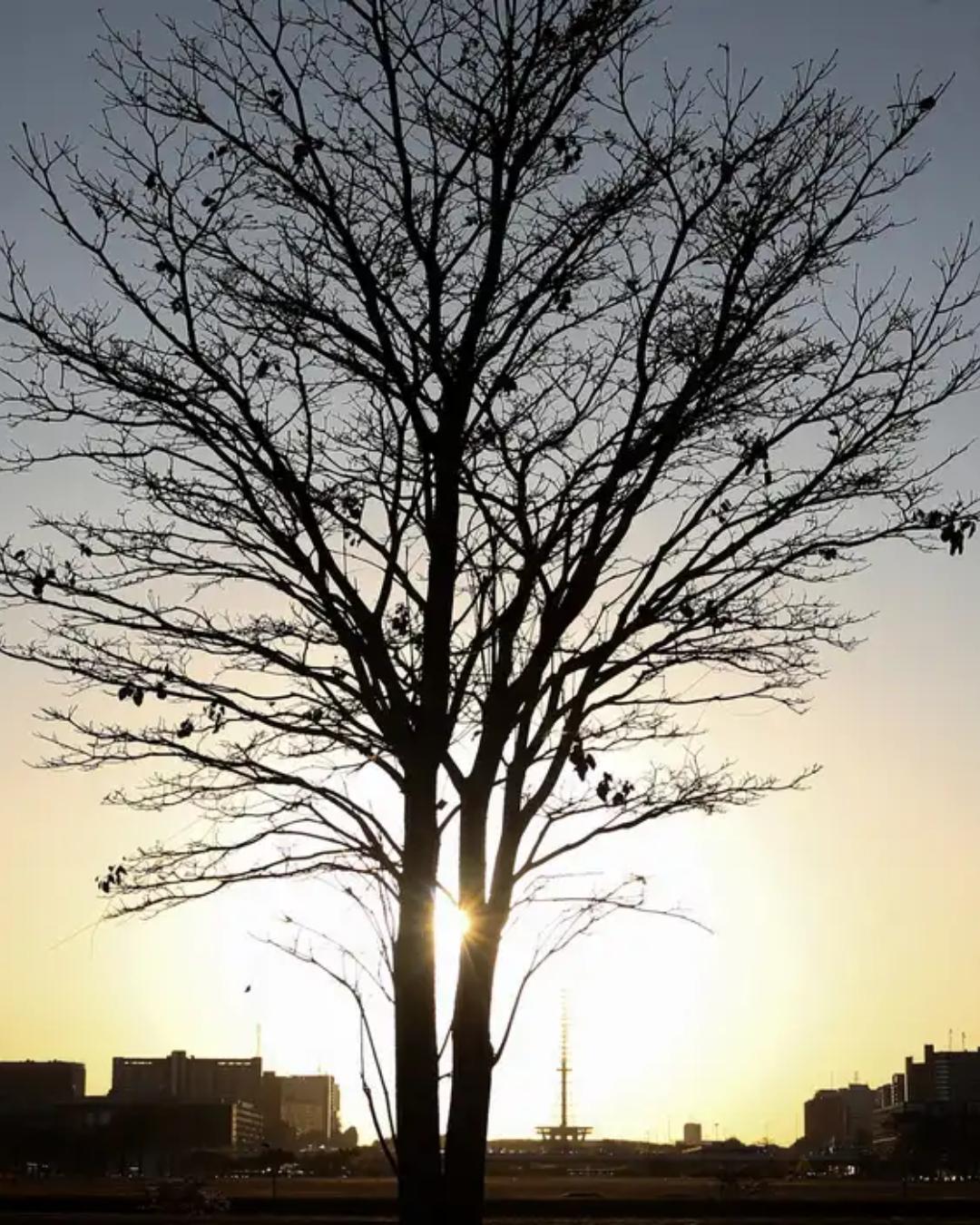 COP30 discute compromissos para conter aquecimento global e evitar mudanças irreversíveis