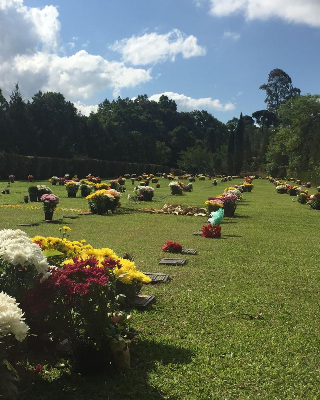 Parque Memorial Graciosa prepara estrutura especial para o Dia de Finados e promete um ambiente de acolhimento, lembrança e paz