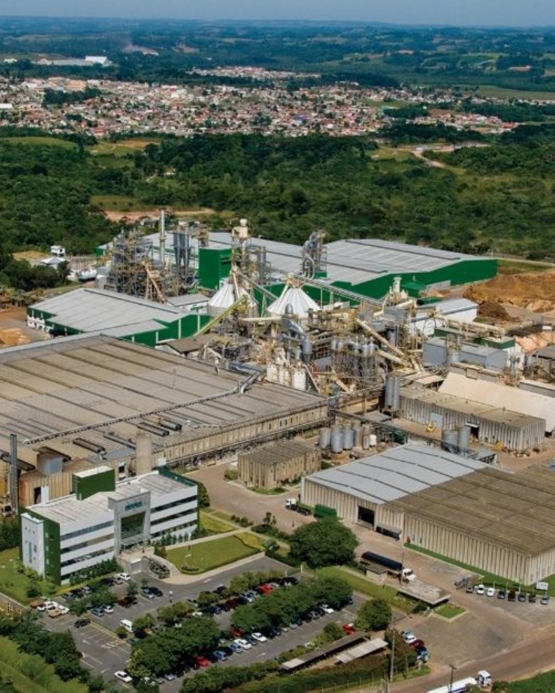 Berneck abre 17 vagas de emprego em Araucária com oportunidades para diversos perfis