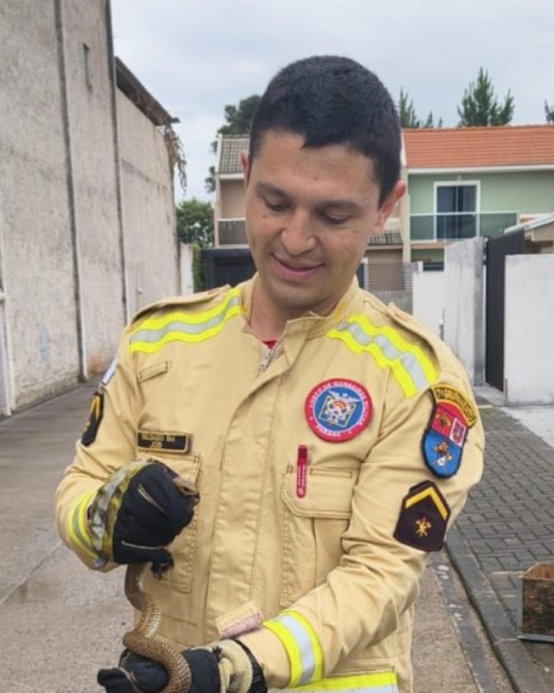Criança encontra cobra em cama em Colombo; moradores denunciam matagal e esgoto a céu aberto