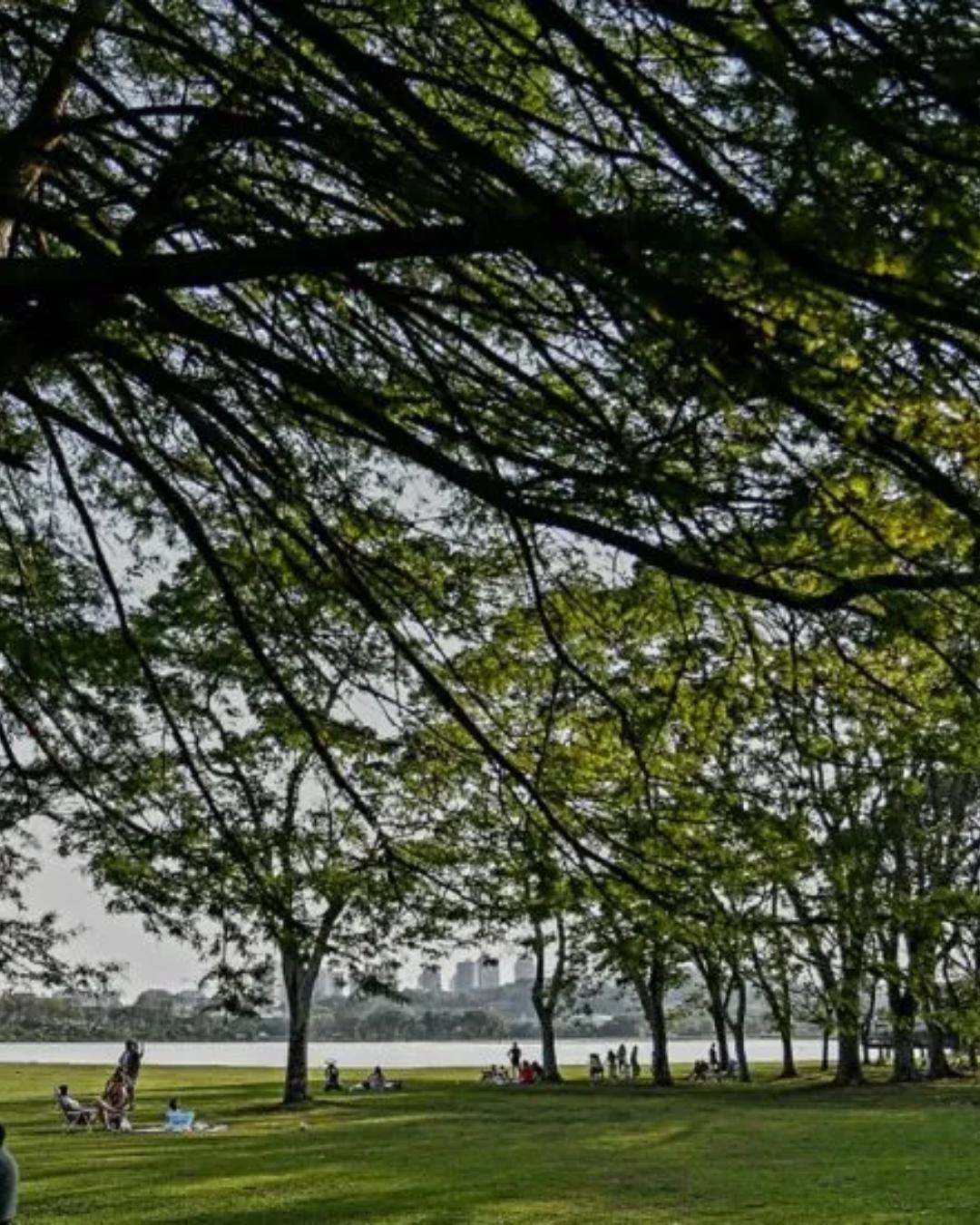 Curitiba terá segunda-feira quente e chuvosa com chance de trovoadas