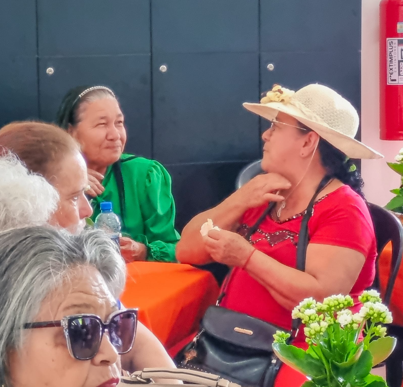 Festa das Cores encerra ano de atividades da melhor idade em Campina Grande do Sul