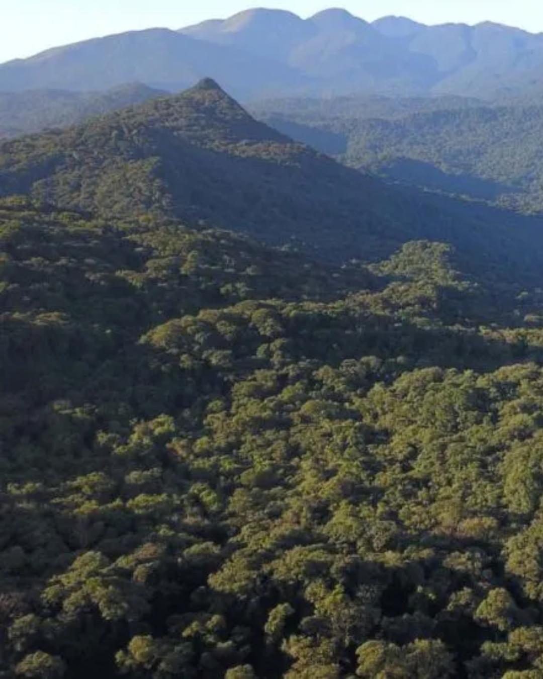Jovens desaparecidos na Serra do Ibitiraquire são resgatados sem ferimentos pelo Corpo de Bombeiros