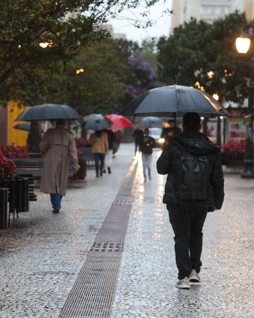 Janeiro de 2026 terá chuvas e temperaturas dentro da média histórica, aponta Simepar