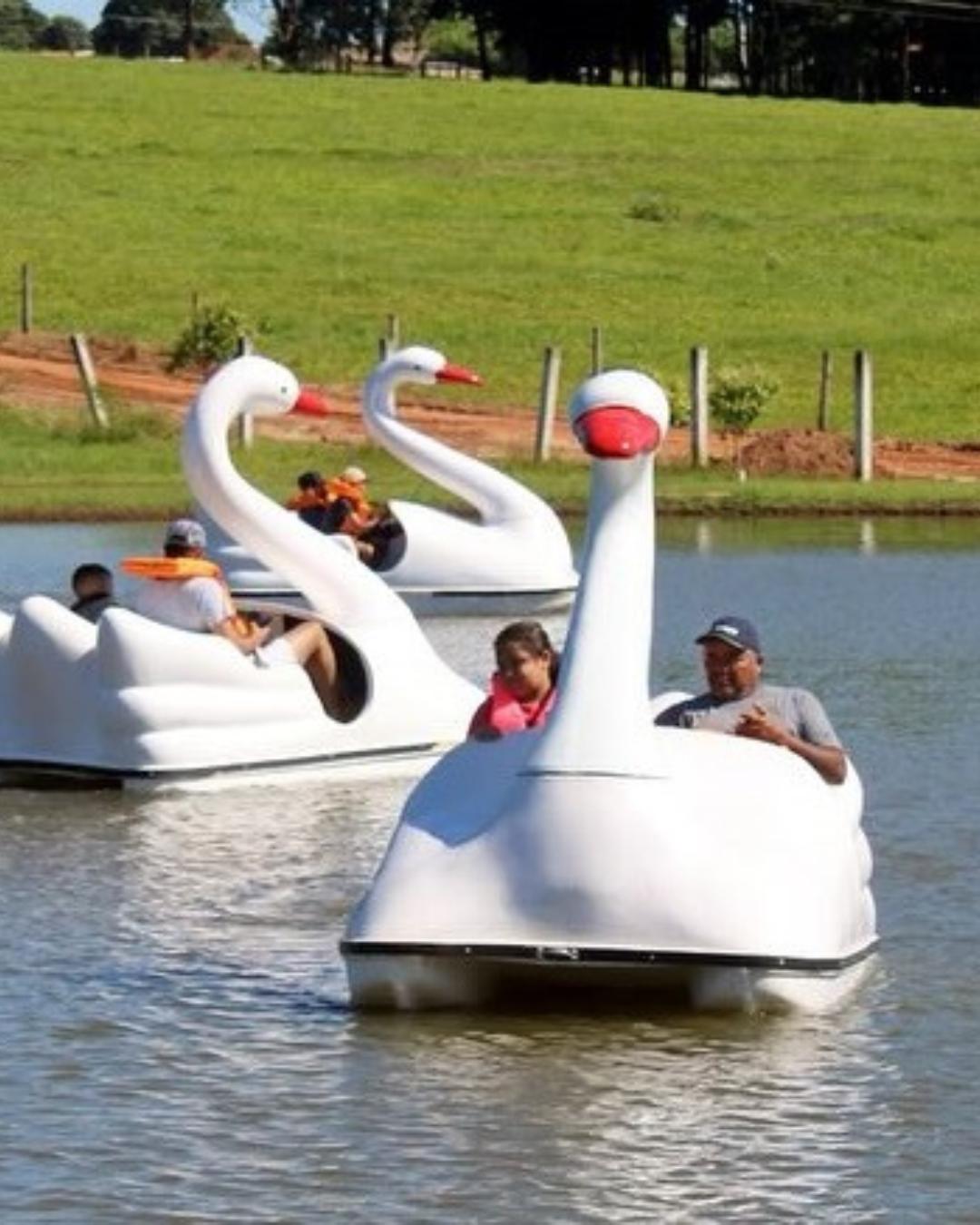 Parque do Lago recebe pedalinhos e outras atrações durante o verão em Quatro Barras
