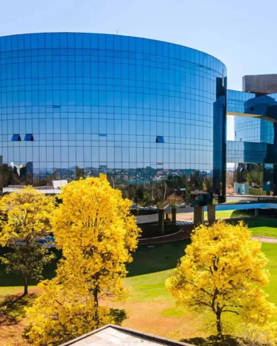 PGR pede que STF barre lei de Santa Catarina que proíbe cotas raciais e promove retrocesso social