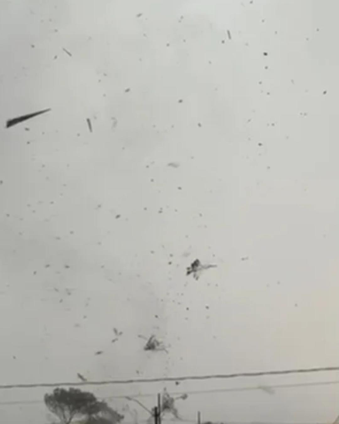 Tornado causa destruição e deixa mais de 200 casas danificadas em São José dos Pinhais