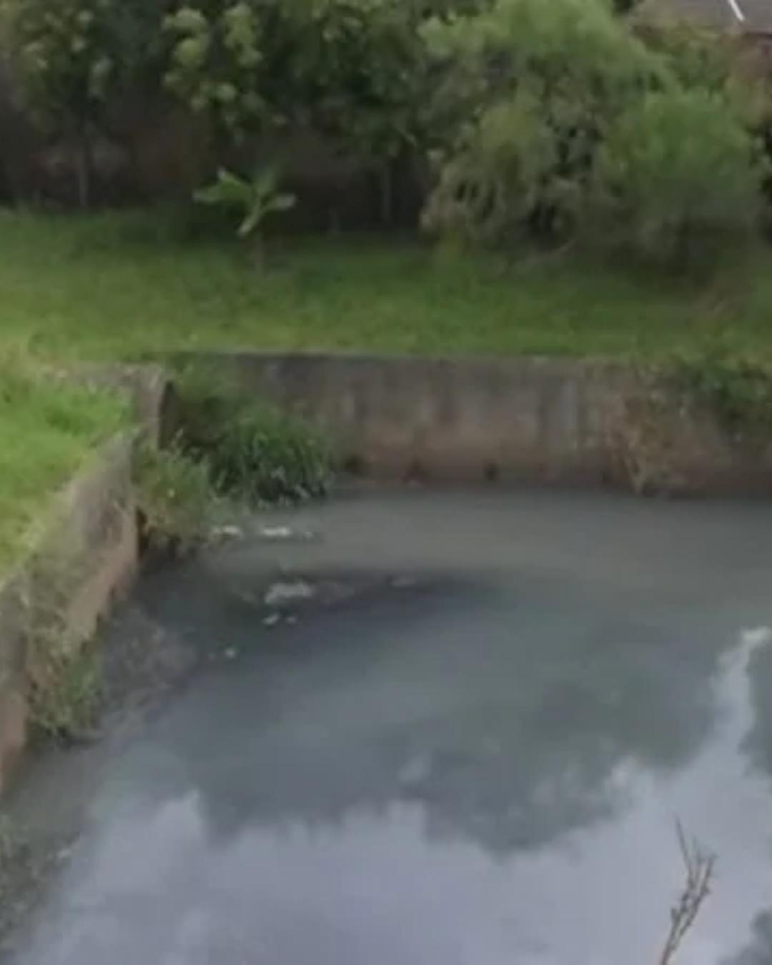 Mau cheiro em bairro de Pinhais persiste há meses e afeta moradores e comércio local