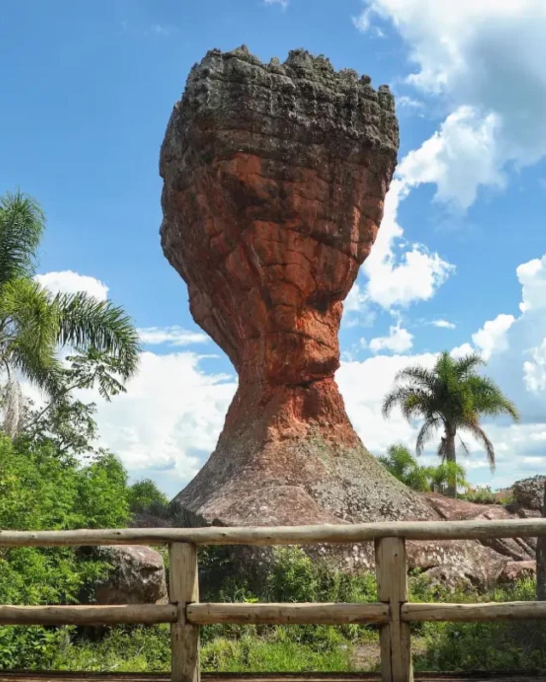 Parque Vila Velha estreia exposição ao ar livre com obras inéditas e interação com a natureza