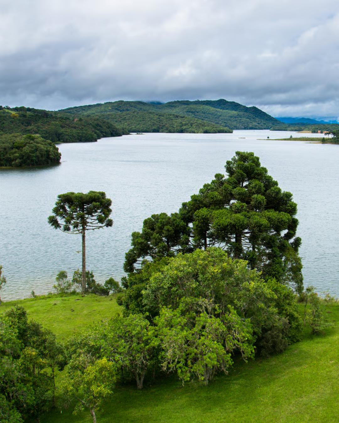 Prefeitura de Piraquara abre concurso com 43 vagas e salários até R$ 21,7 mil