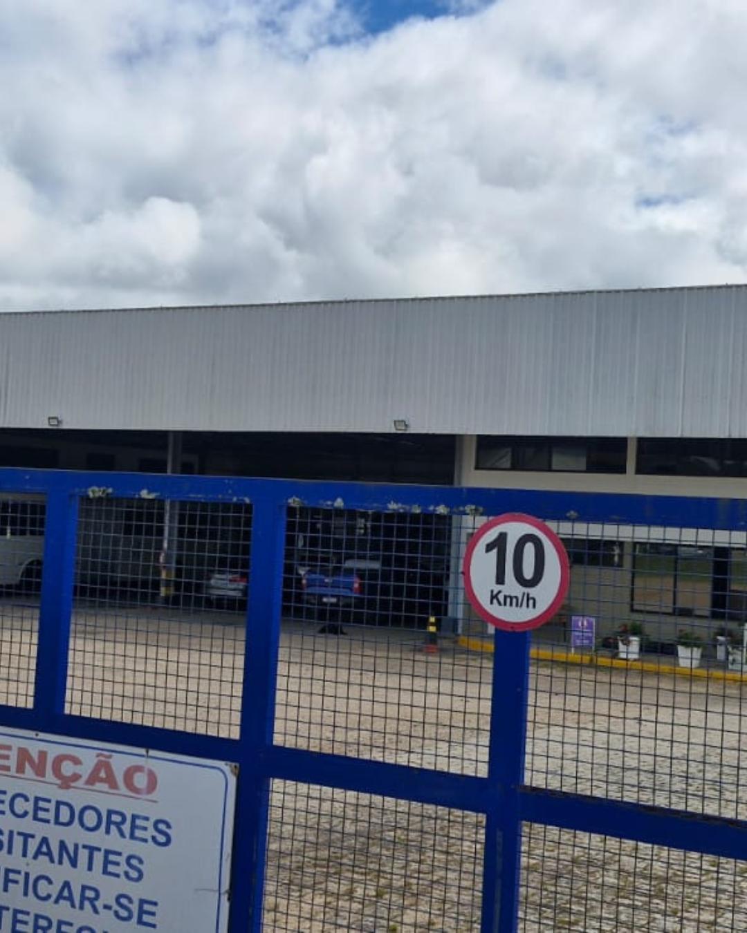 Rascunho automático