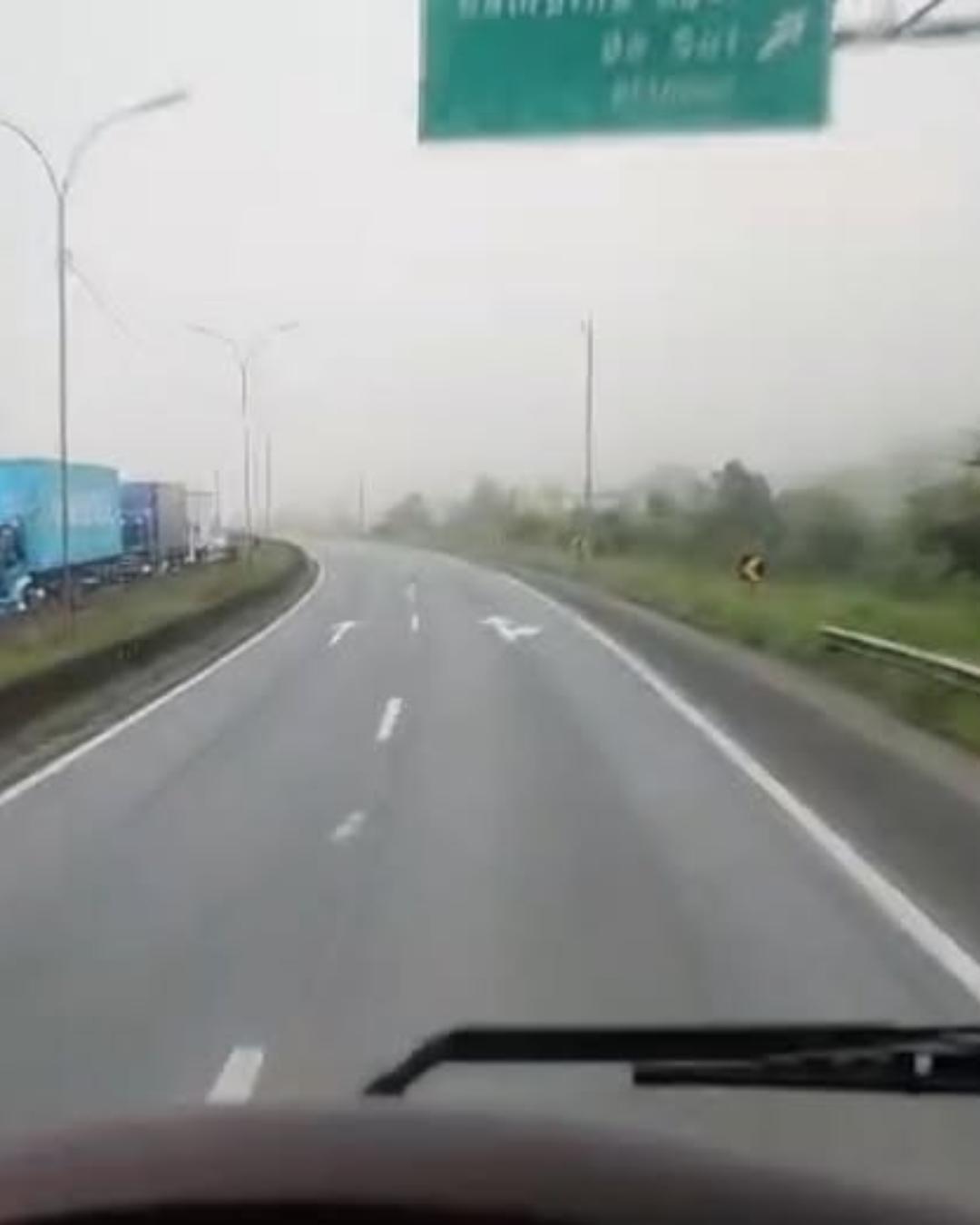 Rascunho automático