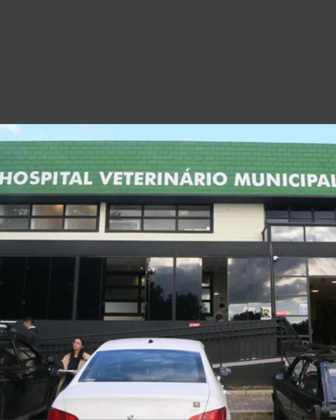 Veterinários em Curitiba poderão ser obrigados a denunciar maus-tratos contra animais, propõe projeto de lei