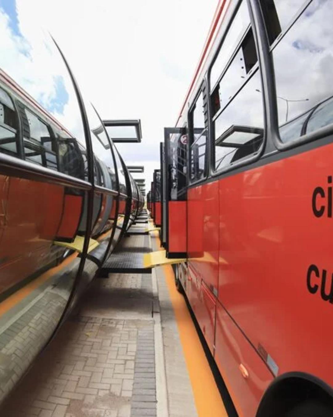 Curitiba amplia transporte de pets com nova linha de ônibus para hospital veterinário