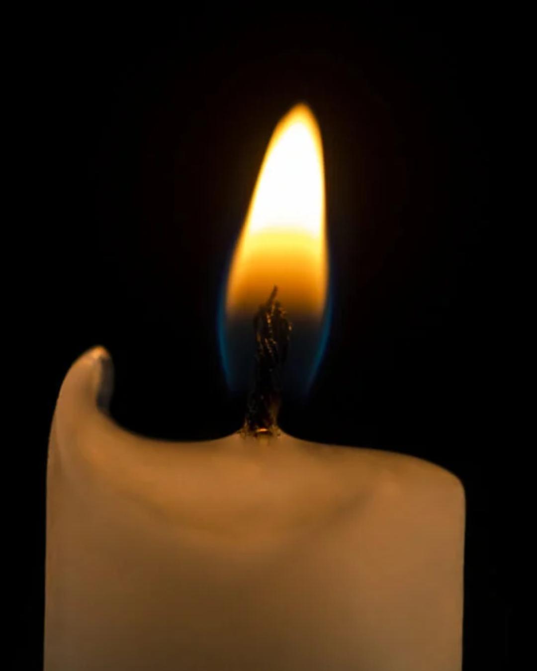 Hora do Planeta acontece neste sábado com ação global pelo meio ambiente